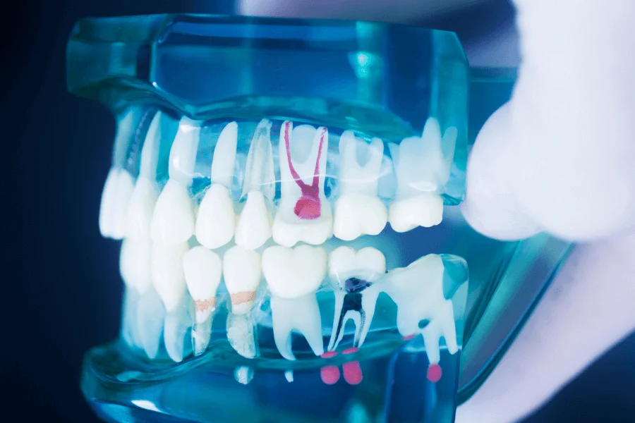 Diagnostyka ortodontyczna