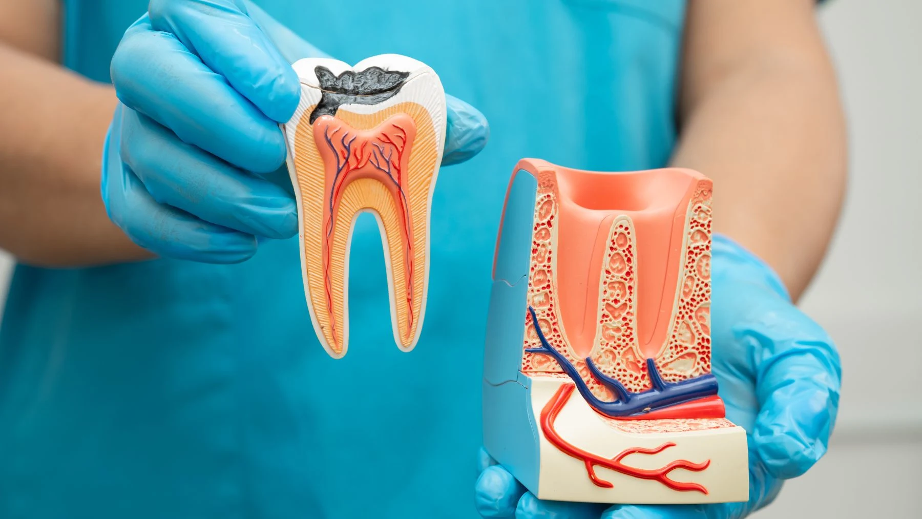 Chirurgia Stomatologiczna