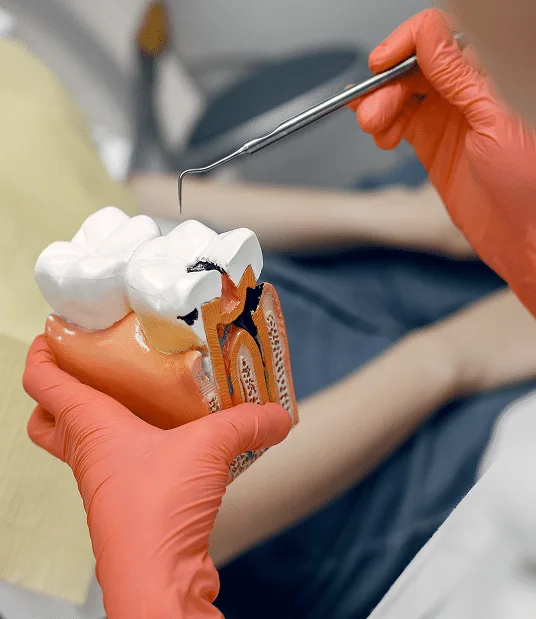 Stomatologia zachowawcza